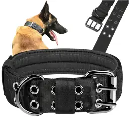 Najlepsza obroża dla amstaffa: wybierz wygodny i trwały model