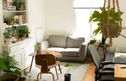 Dlaczego warto uprawiać rośliny doniczkowe? Odkryj ich niezwykłe korzyści