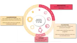 Die häufigsten periode symptome: Was Sie erwarten sollten und wie Sie helfen können