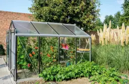 Co uprawiać w szklarni, aby uniknąć nieudanych plonów?