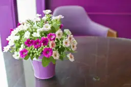 Kwiaty na komunię? Zasady, alternatywy i savoir-vivre gościa