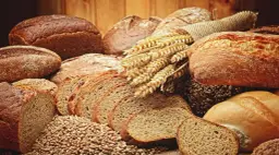 Gdzie kupić dobrą mąkę na chleb? Odkryj najlepsze źródła!