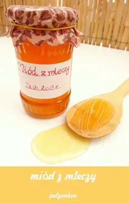 Jak zrobić miód z mleczy – prosty przepis na zdrowy syrop z mniszka