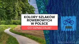 Co oznaczają kolory szlaków rowerowych i jak wpływają na bezpieczeństwo?