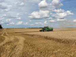 Ile mocznika na ściernisko? Poznaj optymalne dawki nawożenia