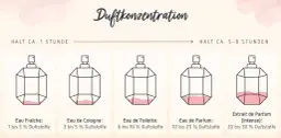 Parfum vs. EdP: Welcher Duft passt zu Ihnen? Expertentipps