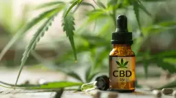 THC: Co to jest? Działanie, CBD, prawo w Polsce