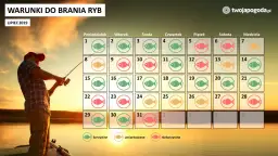 Pogoda na ryby: Jak czytać prognozy i łowić więcej?