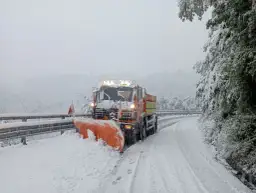 Appennino Reggiano Oggi: Meteo, Eventi, Viabilità e Notizie
