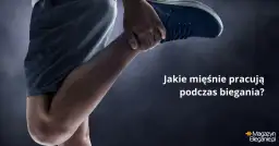 Jakie mięśnie pracują podczas biegania? Biegaj mądrzej!