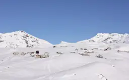 Offerte Montagna Lidl Viaggi: Pacchetti Convenienti e Completi