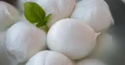 Kulki mozzarelli w wodzie, jedna z listkiem bazylii. Czy ser mozzarella jest tłusty? Zależy od rodzaju, ale ten wygląda apetycznie.