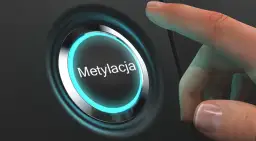 Zaburzenia metylacji: 7 objawów których nie możesz ignorować