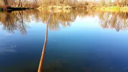 Jak zrobić wędkę z gałęzi? Odkryj radość łowienia DIY!