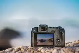 Lustrzanka Canon: Przewodnik 2024 - Czy warto kupić?