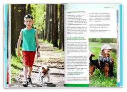 Jak wybrać szczeniaka: uniknij błędów i znajdź idealnego pupila