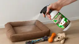 Bezpieczne sposoby na pchły u szczeniaka – co działa i czego unikać