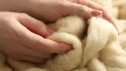 Czy wełna merino gryzie? Poznaj sekret jej miękkości