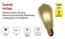 Stylowa żarówka vintage z technologią filamentową. Dowiedz się, filament co to – to nowoczesne rozwiązanie w retro stylu. 4.5W, 420 lm, 25 000 h.