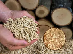 Ręce trzymające pellet drzewny, obok wióry. Pokazuje to proces, jak zrobić maszynę do pelletu z trocin.