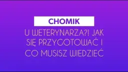 Czy z chomikiem chodzi się do weterynarza i co powinieneś wiedzieć?