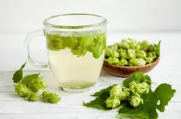 Jak zrobić napar z szyszek chmielu: naturalny sposób na spokojny sen