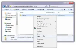 Spolszczenie Stardew Valley: Jak bez problemu zainstalować polski język w grze