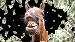 Ile kosztuje weterynarz dla konia? Poznaj ukryte wydatki i oszczędności