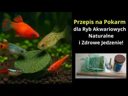 Jak zrobić paszę dla ryb, by zapewnić im zdrową dietę w domu