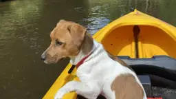 Spływ kajakowy Małą Panwią: Trasy, ceny, porady dla każdego