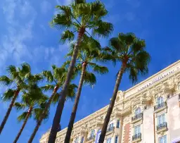 Cannes atrakcje, które musisz zobaczyć – unikaj rozczarowań