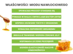 Miód nawłociowy na co pomaga i jak może poprawić zdrowie