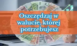 Ranking lokat – jak oszczędzać pieniądze i uniknąć złych decyzji finansowych