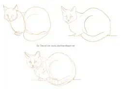 Katze zeichnen lernen: Einfache Schritt-für-Schritt-Anleitung