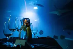 Kolacja w oceanarium Wrocław - wyjątkowe przeżycie pod wodą