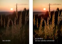 Złota godzina. Trawa w słońcu, po obróbce nabrała rumieńców.