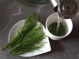 Jak zrobić napar ze skrzypu polnego: prosty przepis na domową kurację