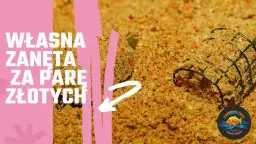 Domowa zanęta na suma: Sprawdzone przepisy i sekrety skuteczności