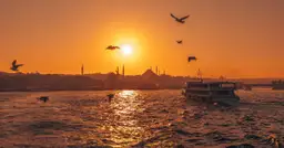 Mieso mielone z indyka - proste i smaczne przepisy na obiad