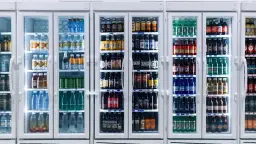 Lodówka na napoje: Jak wybrać idealną i nie przepłacić?