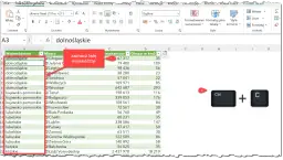 Zaznaczanie listy województw w Excelu. Klawisze Ctrl+C do kopiowania.