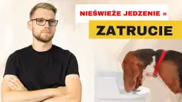 Co podać psu na zatrucie? Pierwsza pomoc i ostrzeżenia