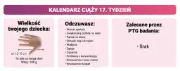 17 tydzień ciąży – jak duża jest wysokość dziecka i co to oznacza