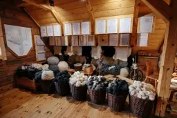 Najlepsze atrakcje w Koniakowie, które musisz zobaczyć na żywo