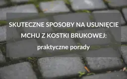 Skuteczne metody czyszczenia kostki brukowej z mchu, które działają