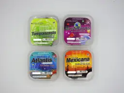 Holandia: Ceny magicznych trufli 🍄 Legalność, gdzie kupić i rodzaje