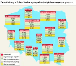 Ile zarabia neurolog? Zaskakujące różnice w wynagrodzeniach w Polsce