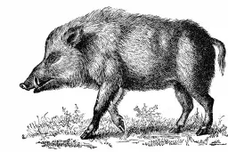 Co oznacza spotkanie dzika w snach? Odkryj znaczenie