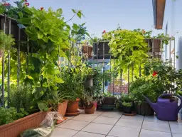 Zasłonięty balkon z bujną zielenią, idealny, by osłonić balkon od wiatru. Rośliny pnące i kwiaty tworzą naturalną barierę.