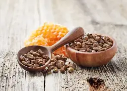 Pierzga: Jak zażywać dla zdrowia? Dawkowanie i błędy, których unikniesz.